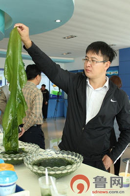 山东海之宝:深耕&ldquo;蓝色土地&rdquo; 为国人生产优质海带产品 - 全省 - 全景山东 - 鲁网